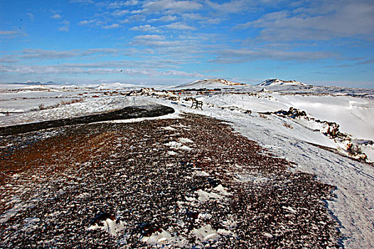 iceland,geysir,lonely,bench,on,snowy,ground