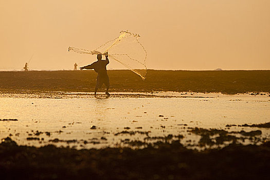 印度尼西亚,巴厘岛,捕鱼者,投掷,网,日落,碰撞,背景