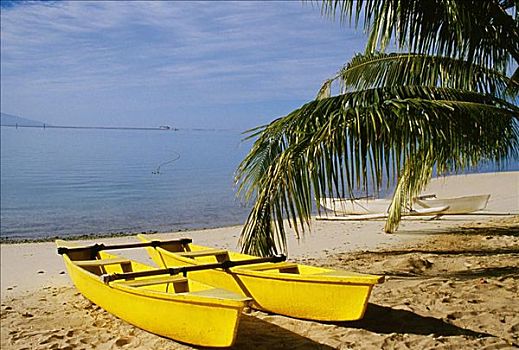 法属玻利尼西亚,朗日劳阿岛,黄色,一对,独木舟,海滩