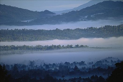 晨雾,山峦,南方,高地,巴布亚新几内亚