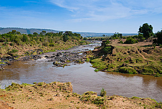 马赛马拉,河,马赛马拉国家保护区,肯尼亚