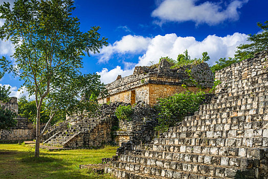 玛雅,遗迹,古老,金字塔,遗址,尤卡坦半岛,墨西哥