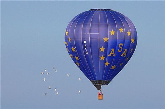 气球,欧盟,鸽子