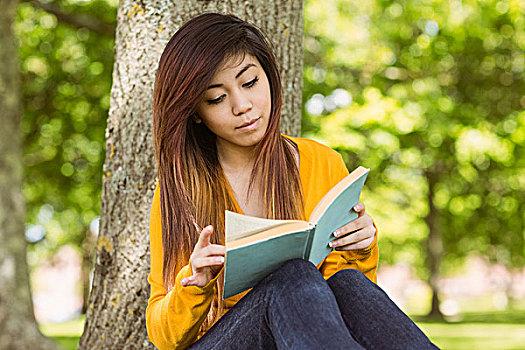 女学生,读,书本,树干,公园