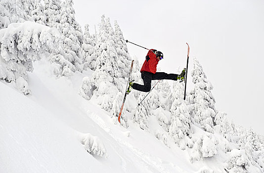滑雪者,跳跃,滑雪区,阿拉斯加