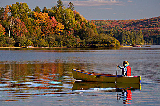 女人,划船,独木舟,岩石上,湖,日落,阿尔冈金省立公园,安大略省,加拿大