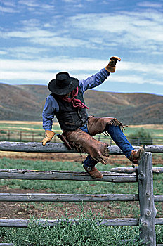 美国,俄勒冈,草地,牛仔,木栏,跳跃,北美,客人,牧场,风景,栅栏,男人,农场主,帽子,头饰,人,手套,移动,缩写,象征,工作