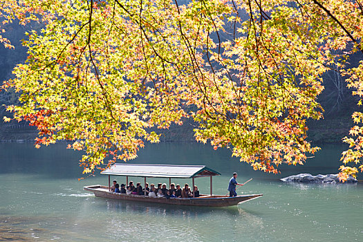 俯拍,人群,传统,平底船,河,秋天