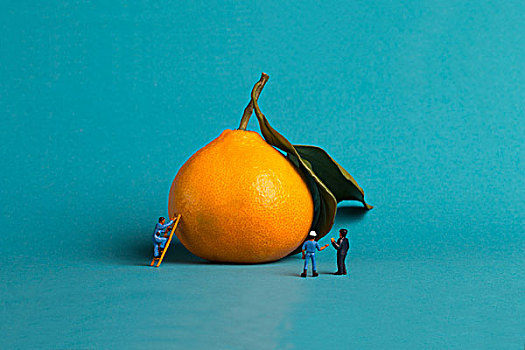 小人和橘子