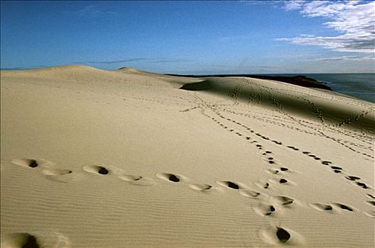 沙丘,匹拉沙丘地区,痕迹