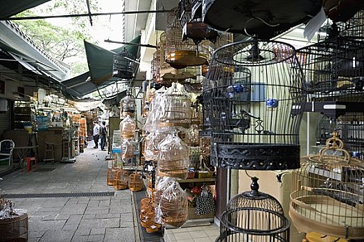 北京鸟笼鸟具市场图片