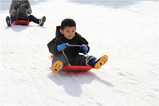 日本人,男孩,雪撬,3岁