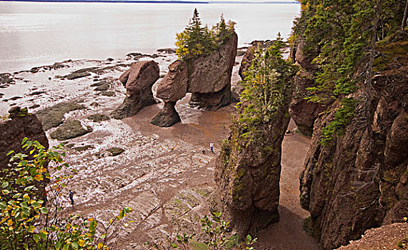 岩石构造,退潮,霍伯威尔岩,芬地湾,新布兰斯维克,加拿大