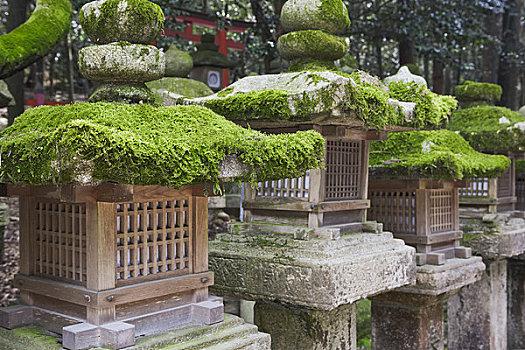 石头,灯笼,神祠,奈良,关西,本州,日本
