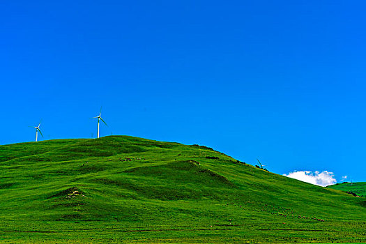 山坡上的草场