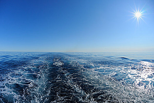 船,尾流,格陵兰,海洋,北冰洋,北极