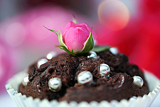 巧克力松饼,装饰,银球,玫瑰,芽