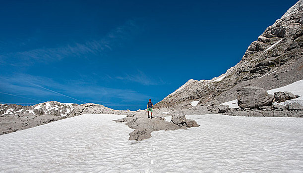 远足,站立,岩石上,雪原,徒步旅行,春天,雪,国家公园,巴伐利亚,德国,欧洲