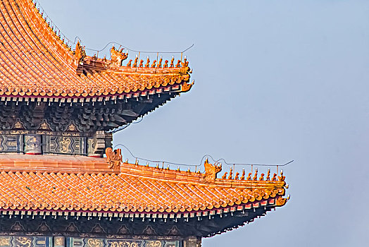 北京市故宫建筑景观