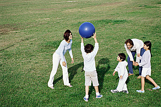 家庭,玩,球,草场