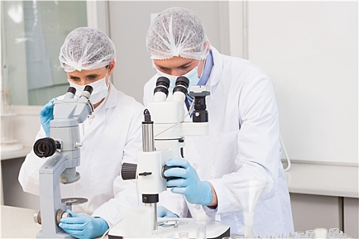 科学家,工作,显微镜