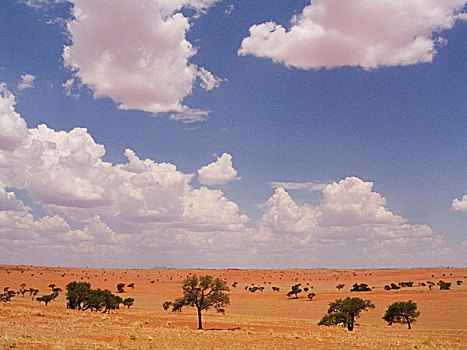 热带草原,纳米比亚
