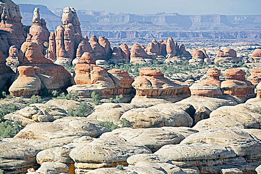 针,岩石构造,峡谷地国家公园,犹他,美国