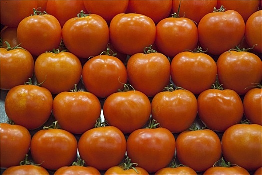 西红柿,销售,市场
