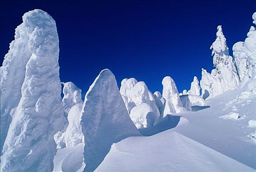 雪,灵异,太阳,顶峰,不列颠哥伦比亚省,加拿大