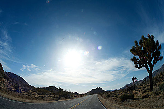 空,沙漠公路