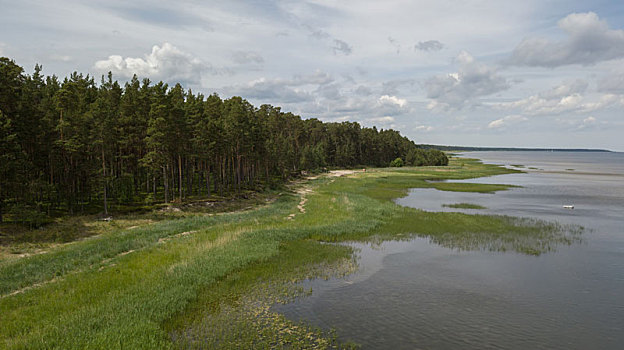 拉脱维亚,航拍,乡村,俯视