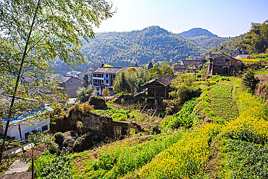 蒋山村,山村