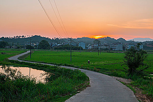 乡间小路,田野,村落,湖水