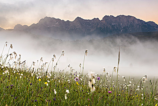 山,草地,早,雾,背影,上巴伐利亚,德国,欧洲
