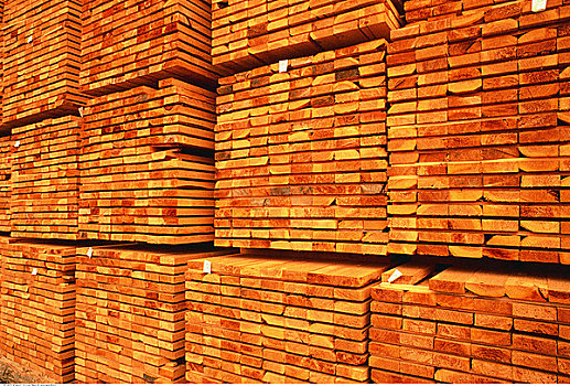 切削,一堆,木材,铁杉,不列颠哥伦比亚省,加拿大