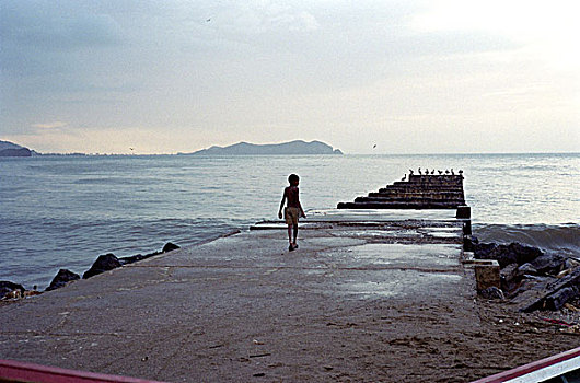 男孩,码头,鹈鹕,委内瑞拉