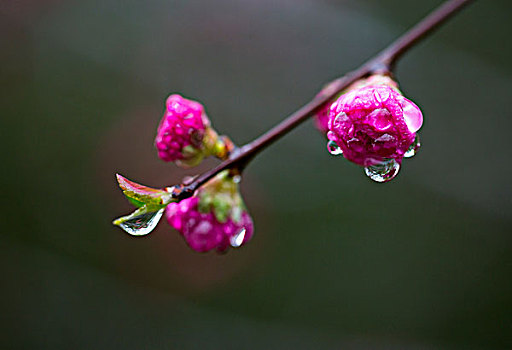 水点