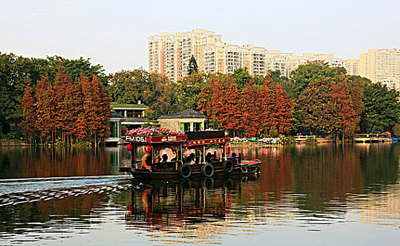 荔湾湖公园