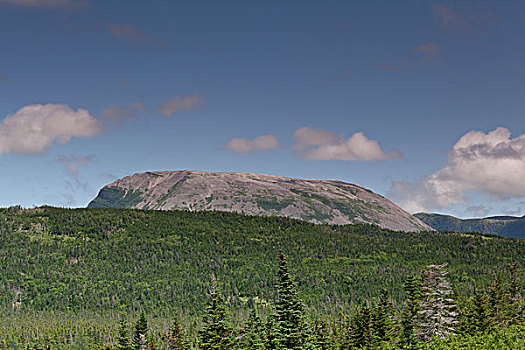 格罗,孤单,看,空,山,格罗莫讷国家公园,纽芬兰,加拿大,名字