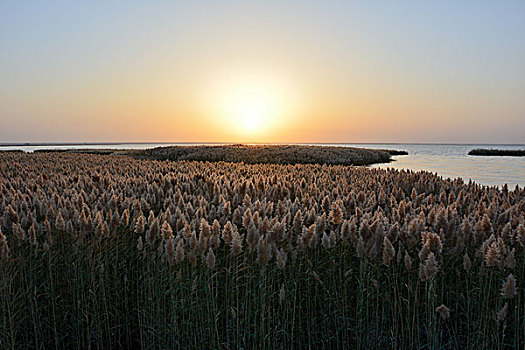 居延海