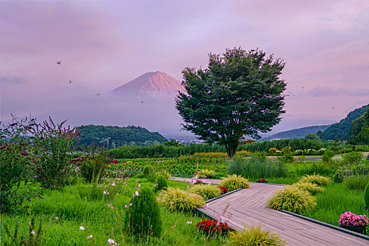 紫色富士山