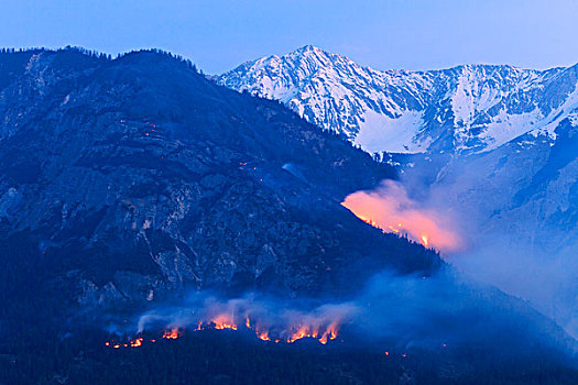 森林火灾,山,提洛尔,奥地利,欧洲