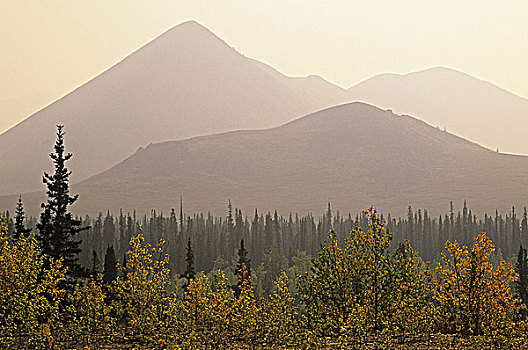 森林火灾,薄雾,奥基尔维山,戴珀斯特公路,育空地区,加拿大