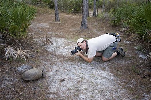 摄影师,拍照,野生,囊地鼠,龟,沙龟,佛罗里达,美国