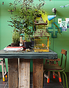 大,盆栽,生锈,鸟笼,乡村,桌子,绿色,墙壁