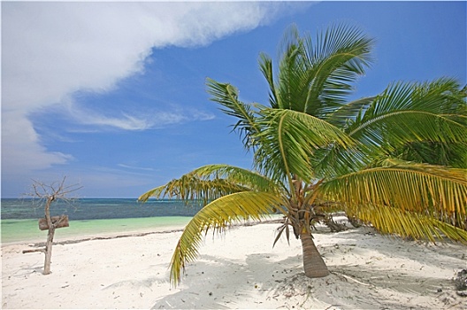 尤卡坦半岛