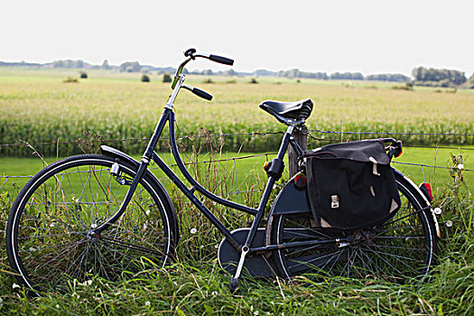 自行车,休息,围栏,乡村,荷兰