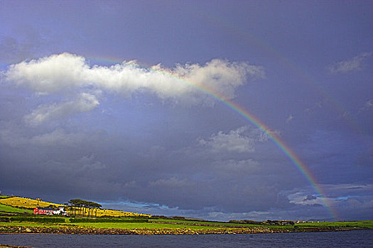 爱尔兰,凯瑞郡,丁格尔半岛,彩虹,风暴,上方,丁格尔湾