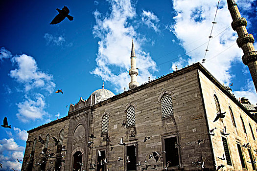 鸽子,靠近,清真寺