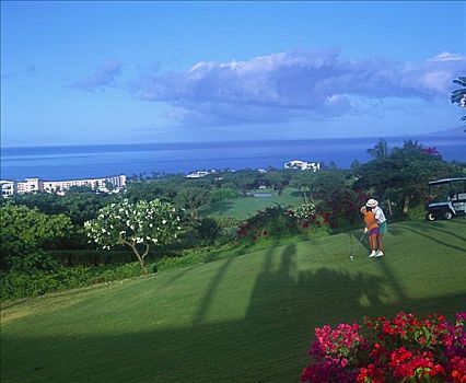 夏威夷,毛伊岛,伴侣,高尔夫球道,高尔夫球场